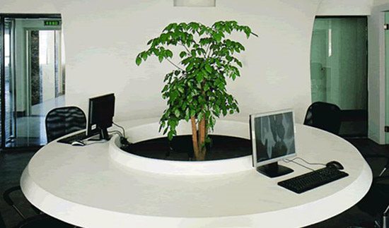 無(wú)錫辦公室裝飾，綠植的擺設(shè)講究